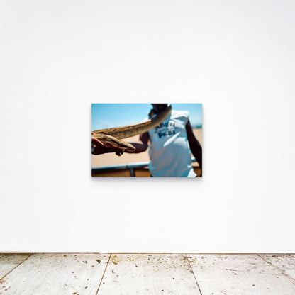 Chloe Albert's fine art print 'Coil' shown unframed at 36 by 24 inches on a gallery wall, displaying the print at scale in a room setting.