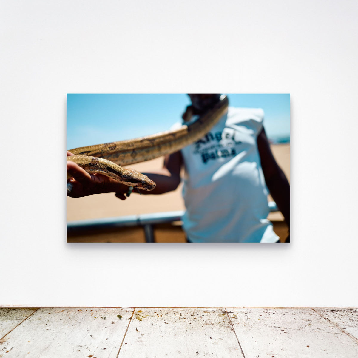 Chloe Albert's fine art print 'Coil' shown unframed at 60 by 40 inches on a gallery wall above a concrete floor, displaying the large statement size in a room.